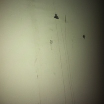 Black mold in sheetrock and water running down walls.