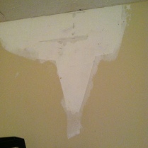 The "repaired" bedroom wall and leak.